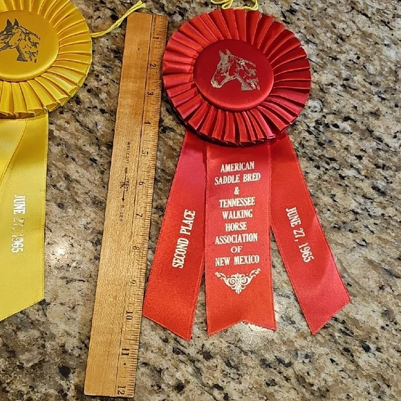 3 Vintage 1965 American Saddle Bred Tennessee Walker horse show rosettes ribbons - Picture 10 of 14